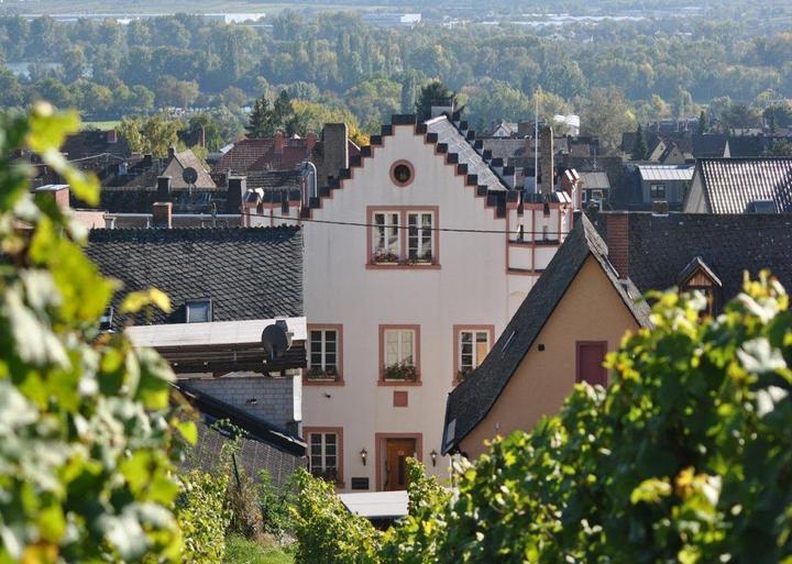 Weingut Gutsausschank Eibinger Zehnthof